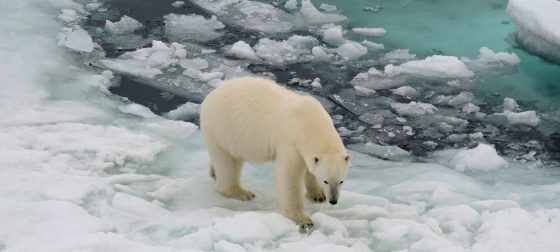 El coronavirus no frena el cambio climático y el Ártico alcanza 38ºC